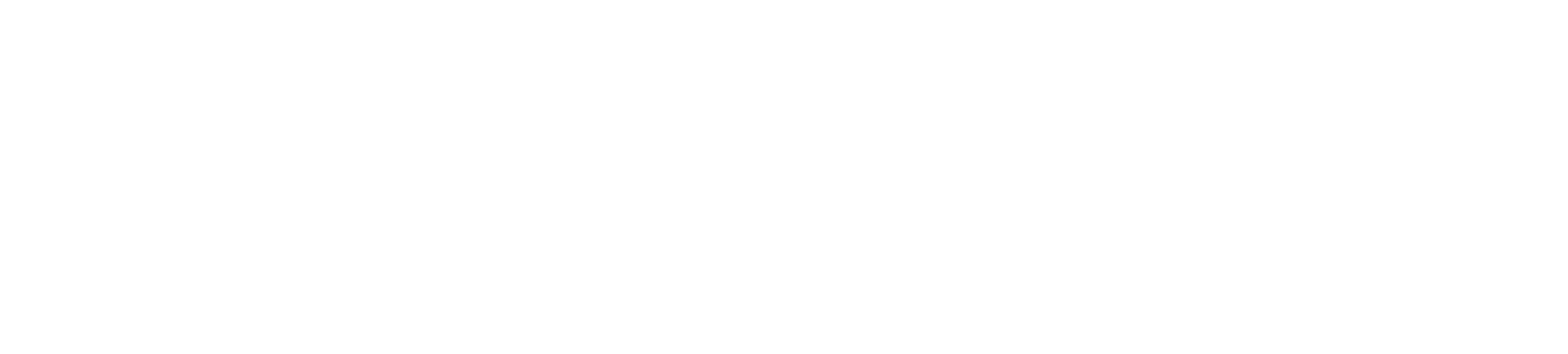 JMM Software Services Logo White-01